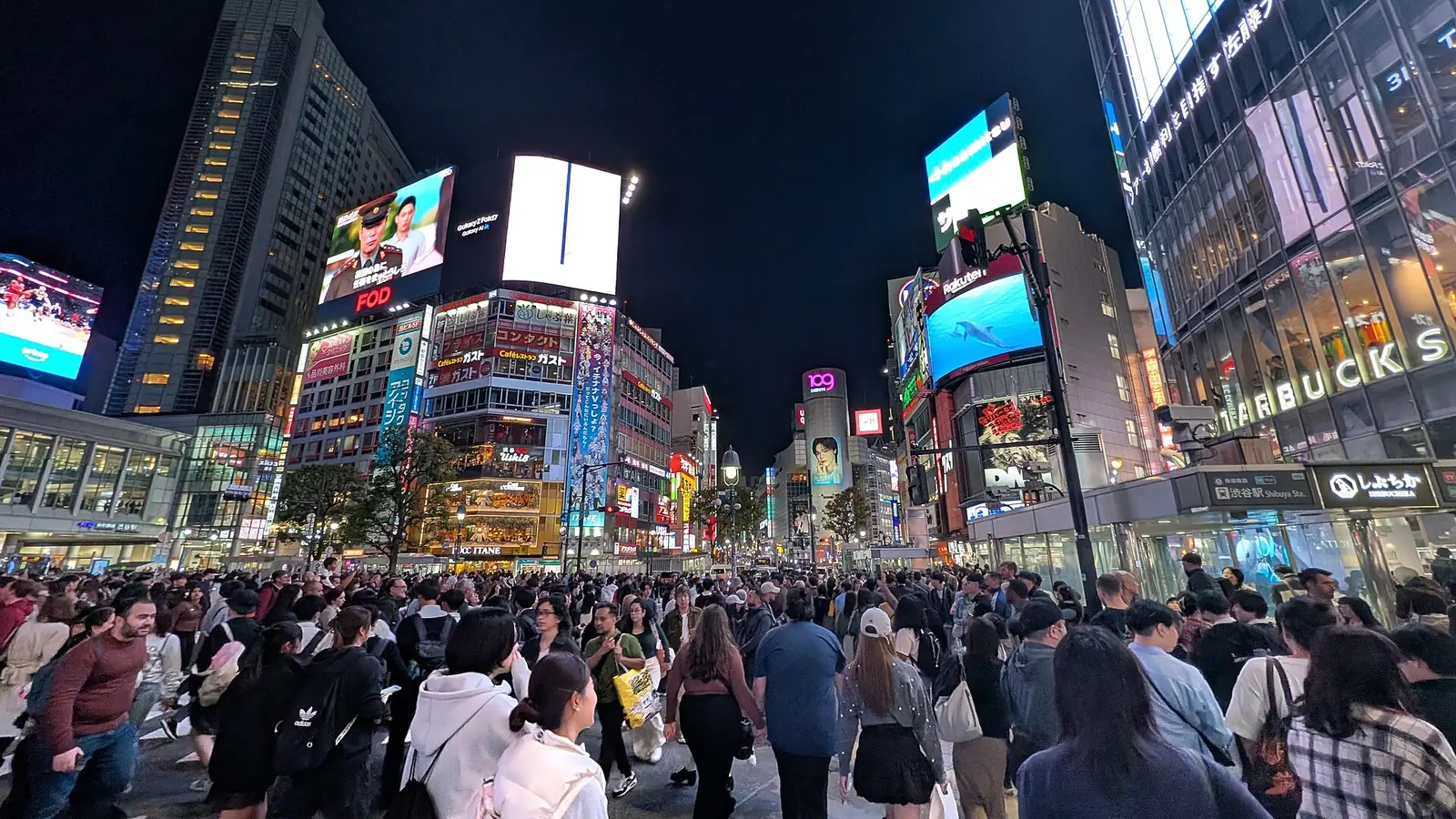 Shibuya Crossing at night, Tokyo